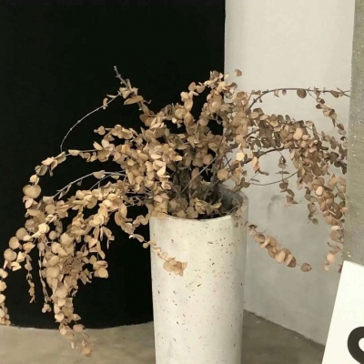 兽设插画构图技巧兽圈群